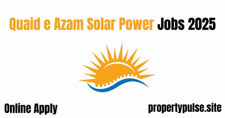 Quaid-e-Azam Solar Power (Pvt.) Ltd. ( QA Solar ), an early energy organization in the Government of Punjab